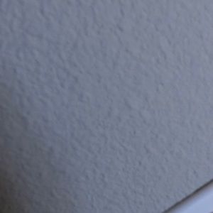 Meet your Posher, Bailee